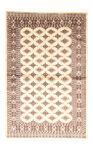 Pakistani Rug - 188 x 126 cm - beige