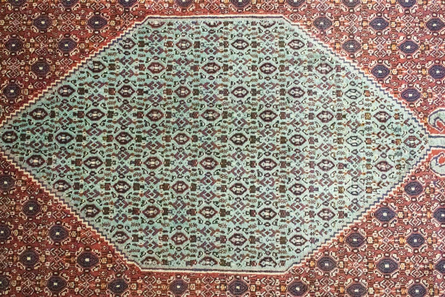 Perser Rug - Classic - 299 x 198 cm - blue