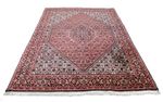 Perser Rug - Bidjar - 249 x 173 cm - light red