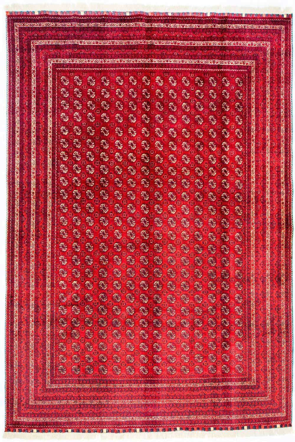 Afghan Rug - Bukhara - 300 x 195 cm - red
