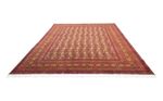 Afghan Rug - Bukhara - 265 x 183 cm - orange