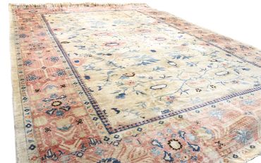 Ziegler Rug - 536 x 371 cm - beige