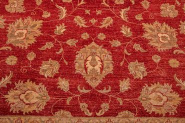 Ziegler Rug - 301 x 241 cm - red
