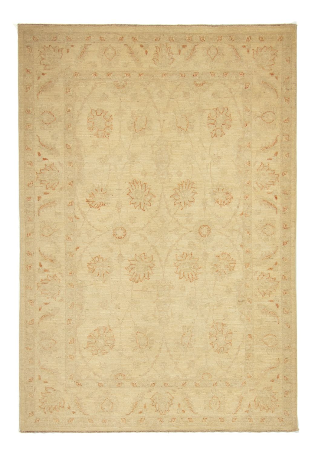 Ziegler Rug - 235 x 164 cm - beige