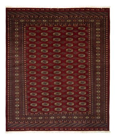 Afghan Rug - Bukhara - 240 x 203 cm - red