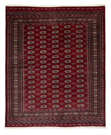 Afghan Rug - Bukhara - 247 x 201 cm - red