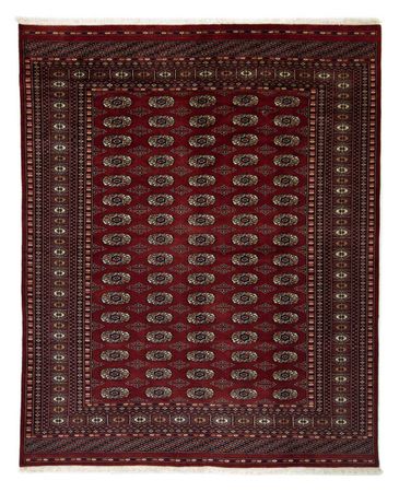 Afghan Rug - Bukhara - 244 x 198 cm - red