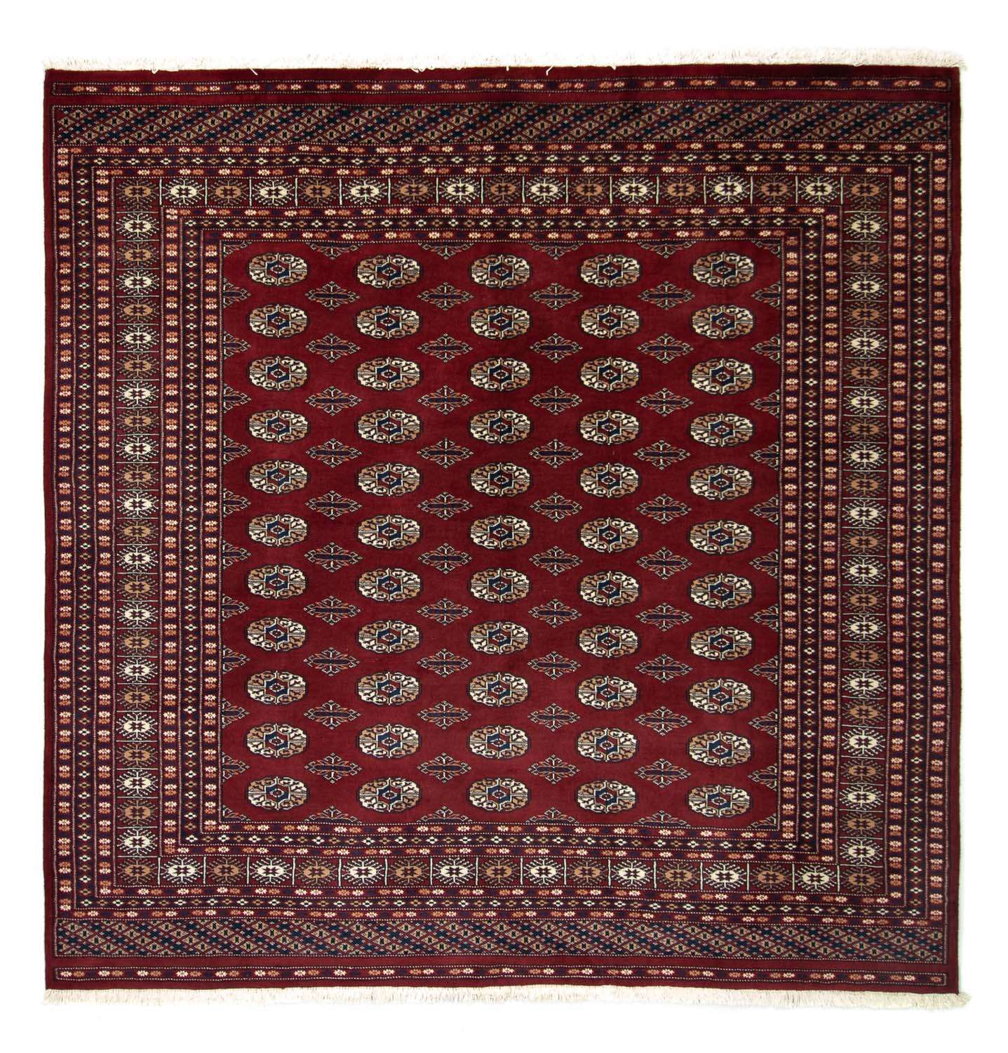 Afghan Rug - Bukhara square  - 203 x 199 cm - red