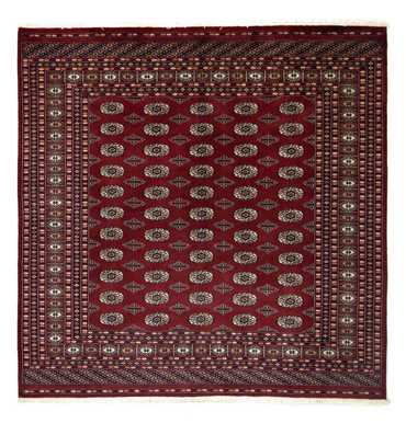 Afghan Rug - Bukhara square  - 203 x 199 cm - red