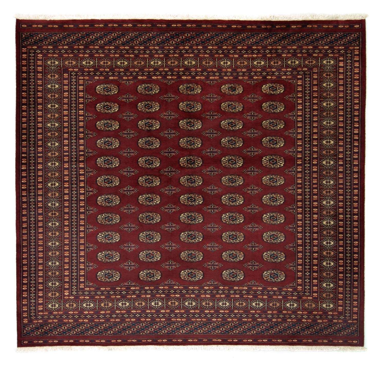 Afghan Rug - Bukhara square  - 205 x 195 cm - red