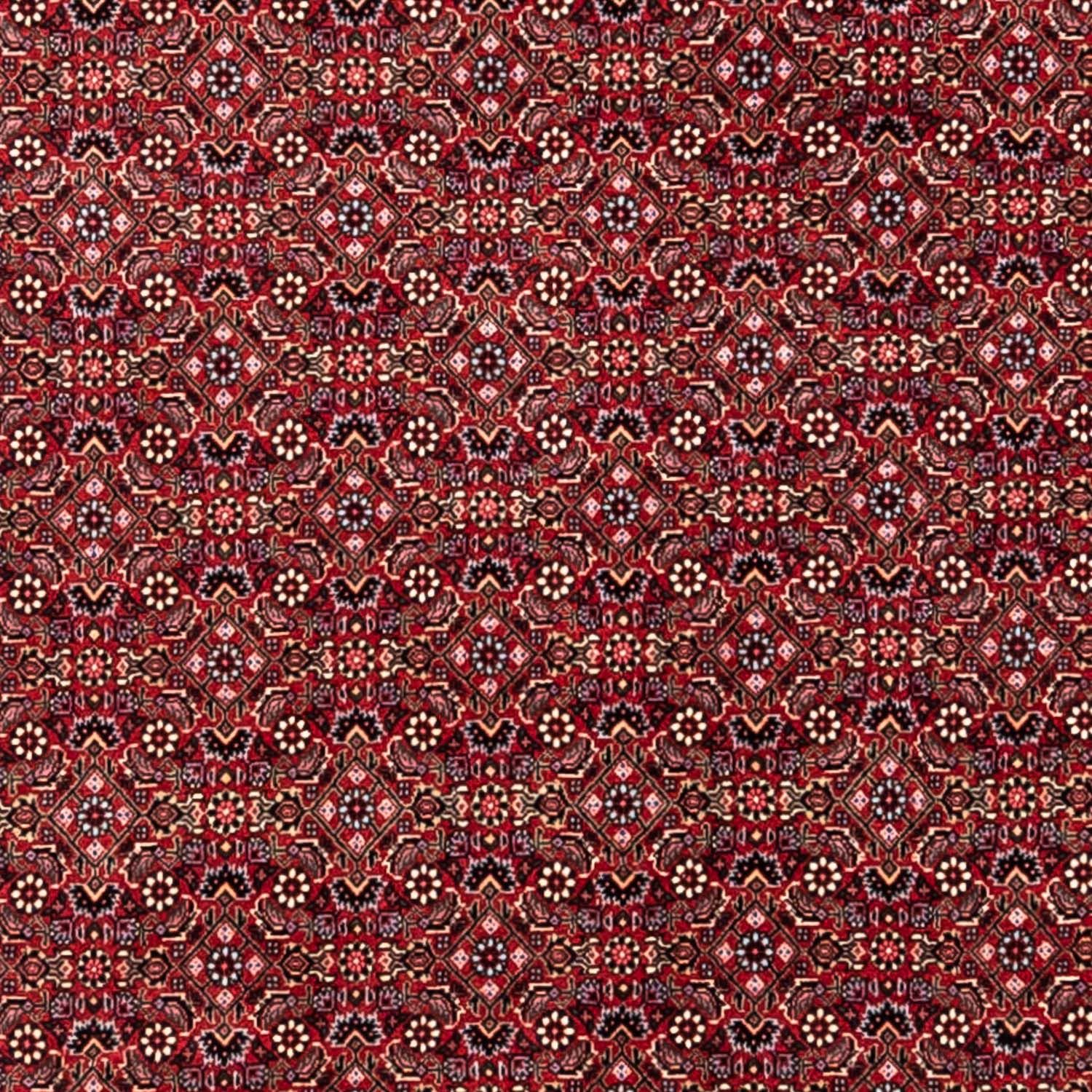 Perser Rug - Bidjar - 338 x 252 cm - red