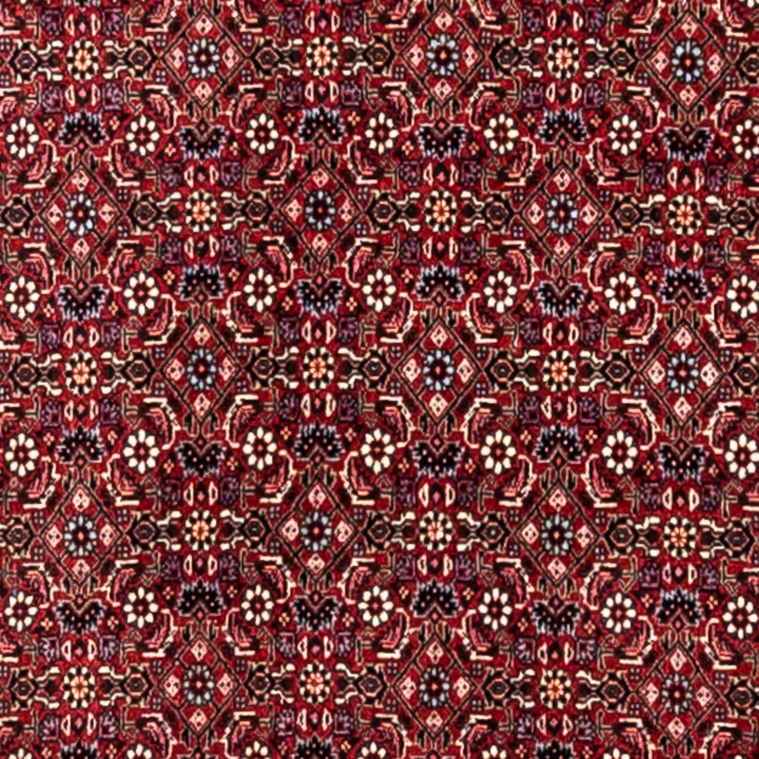 Perser Rug - Bidjar - 343 x 251 cm - red