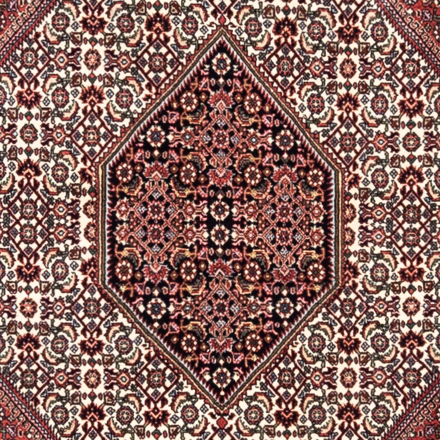 Perser Rug - Bidjar - 295 x 200 cm - red