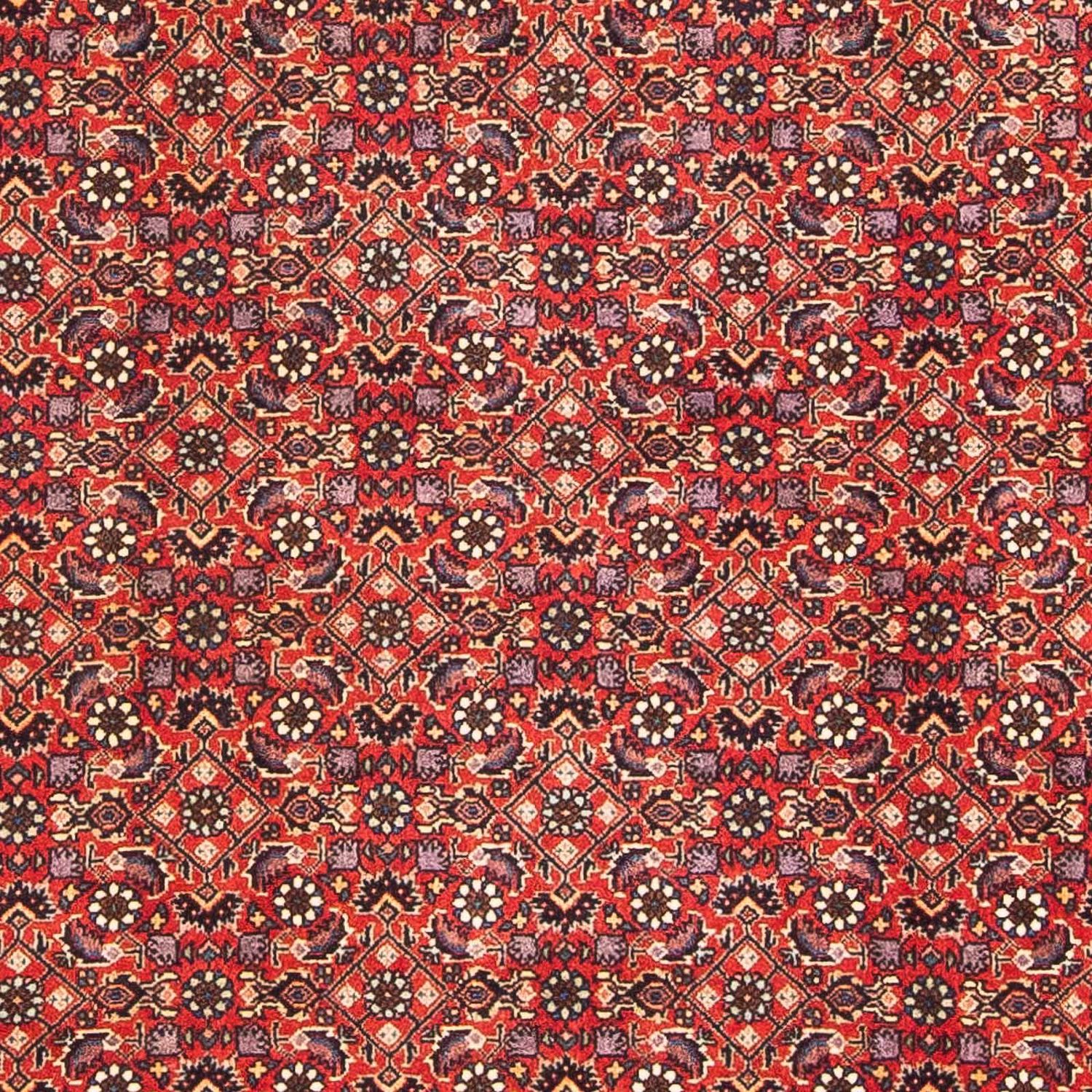 Perser Rug - Bidjar - 183 x 114 cm - red