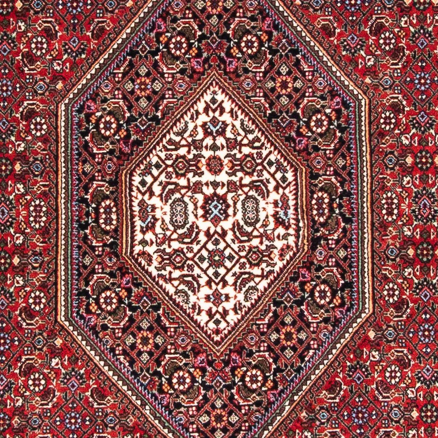 Perser Rug - Bidjar - 177 x 110 cm - red