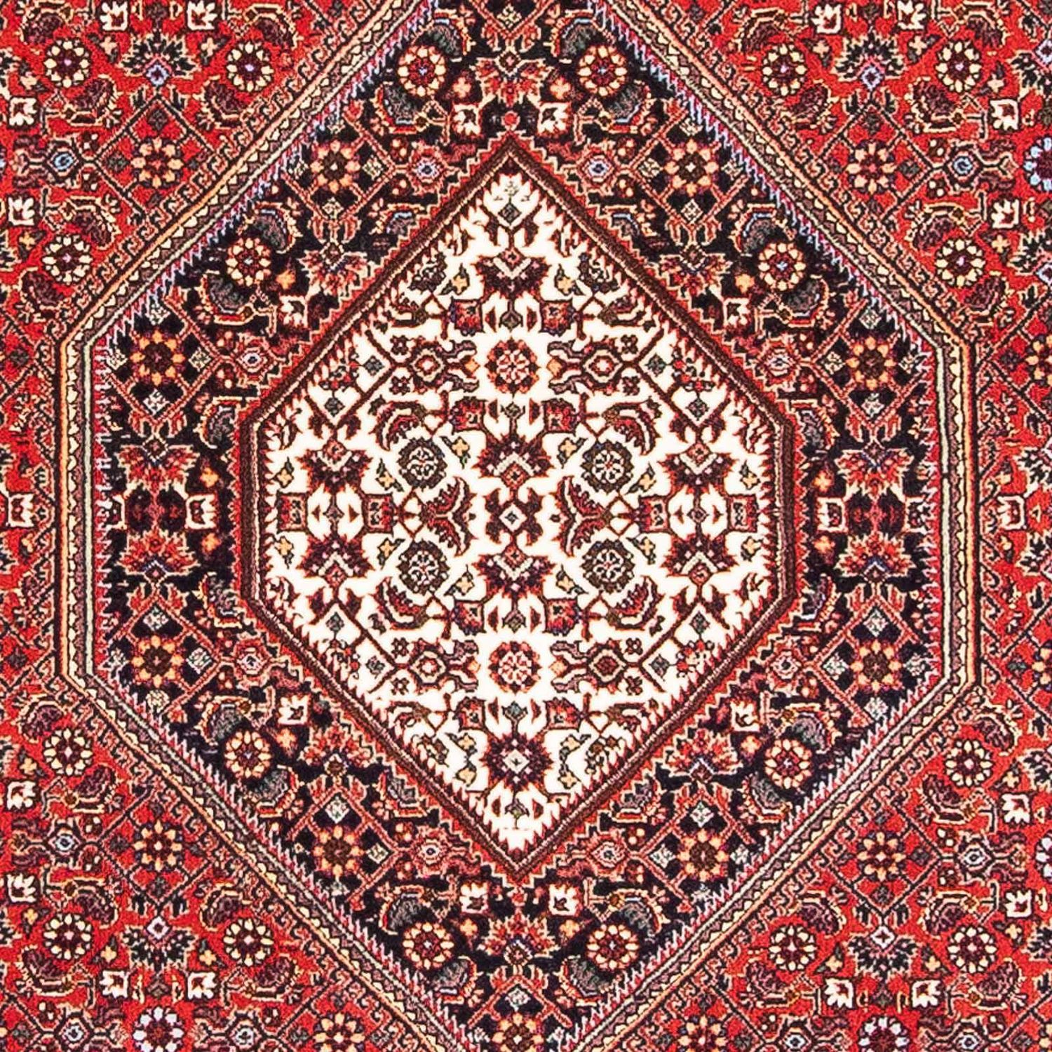 Perser Rug - Bidjar - 173 x 112 cm - red