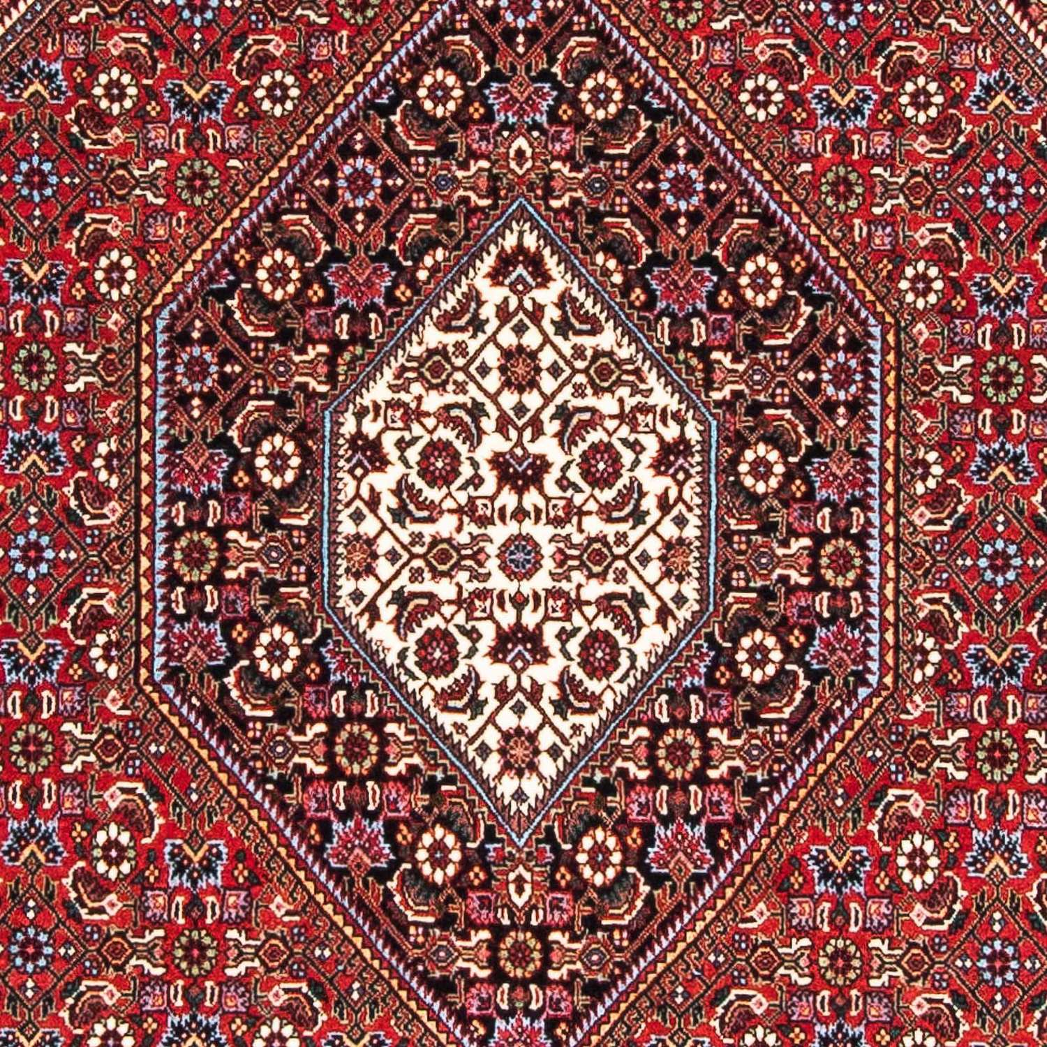 Perser Rug - Bidjar - 175 x 111 cm - red