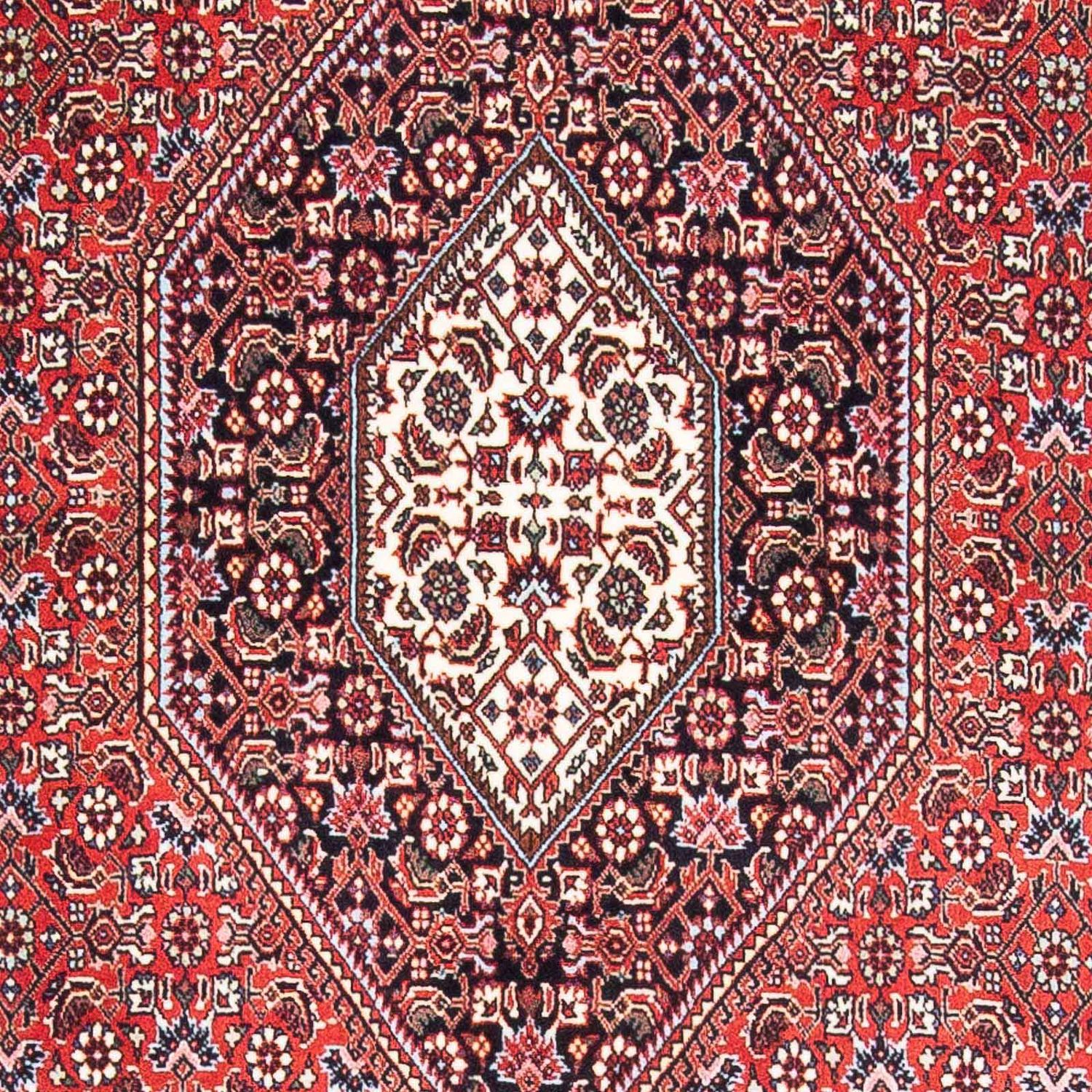 Perser Rug - Bidjar - 169 x 111 cm - red