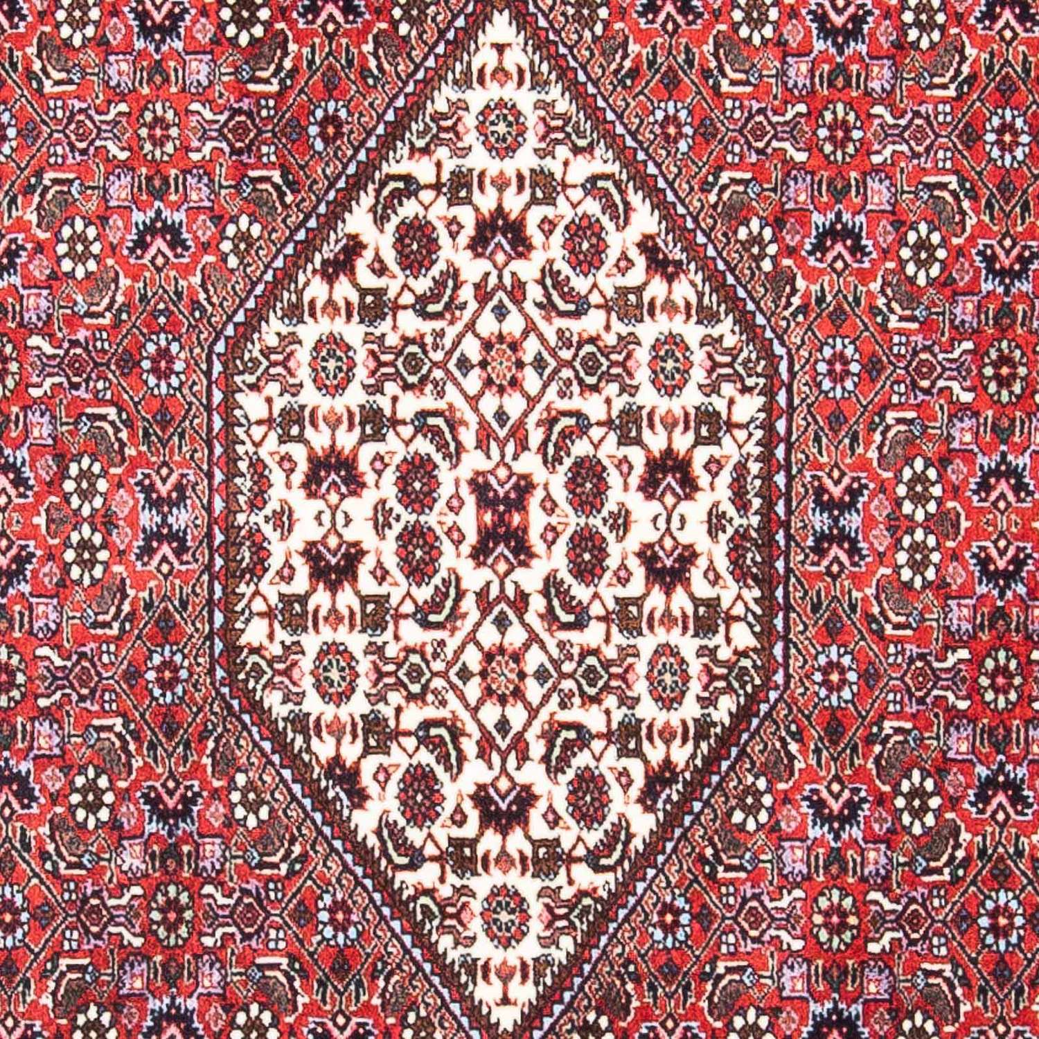 Perser Rug - Bidjar - 169 x 106 cm - light red