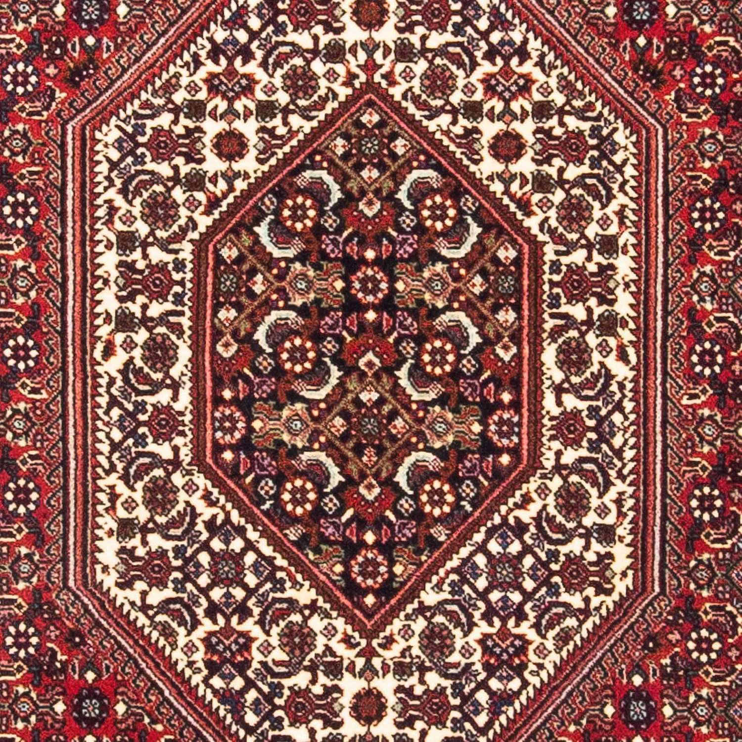 Perser Rug - Bidjar - 160 x 90 cm - red