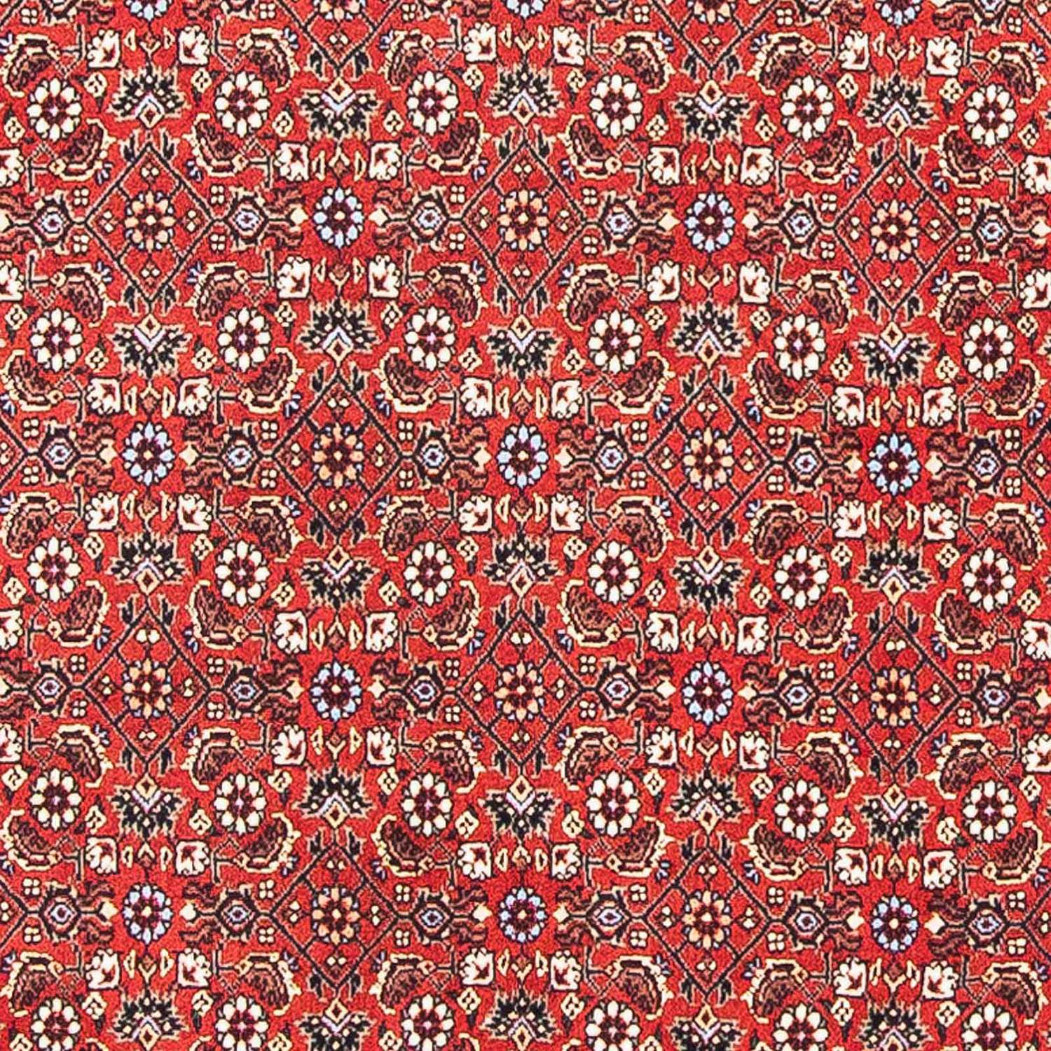 Perser Rug - Bidjar square  - 98 x 97 cm - red