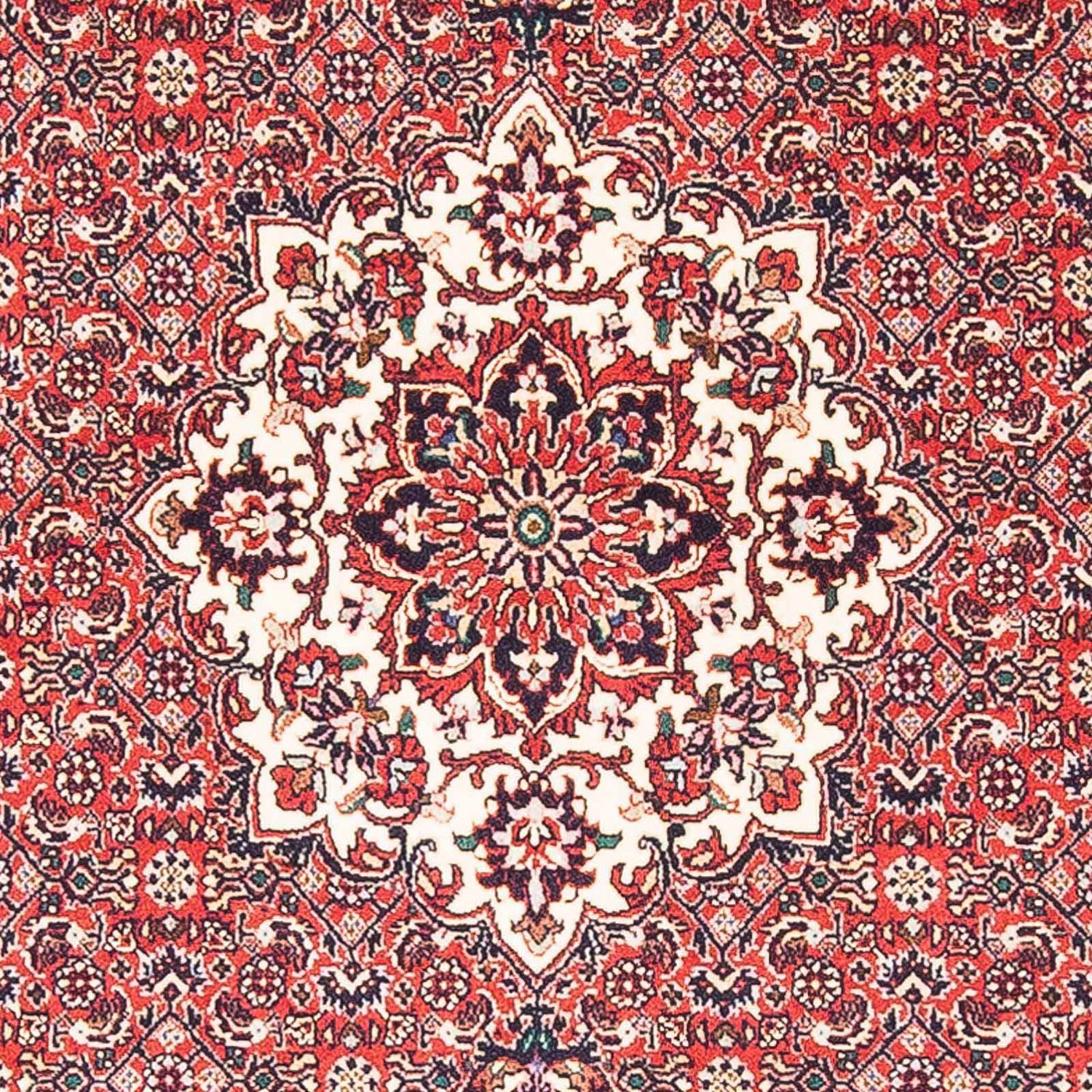 Perser Rug - Bidjar - 148 x 91 cm - red