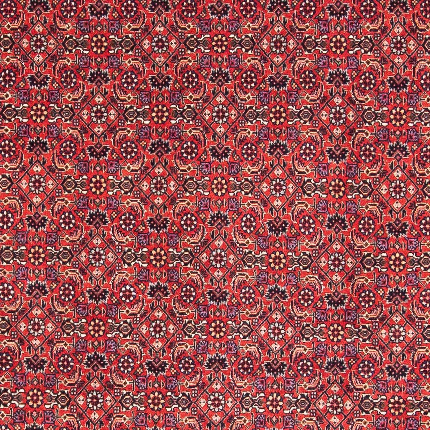 Perser Rug - Bidjar square  - 126 x 124 cm - red