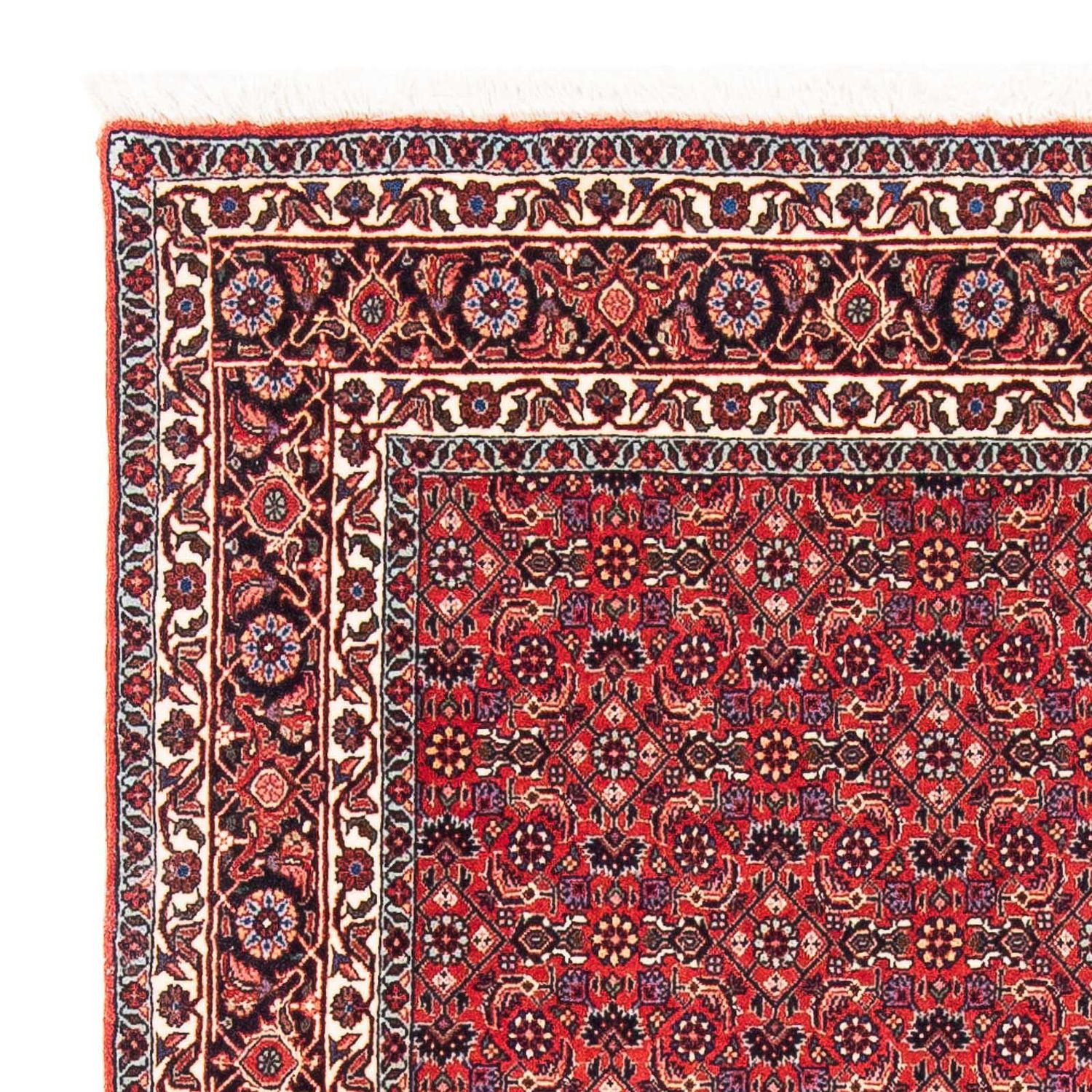 Perser Rug - Bidjar square  - 126 x 124 cm - red