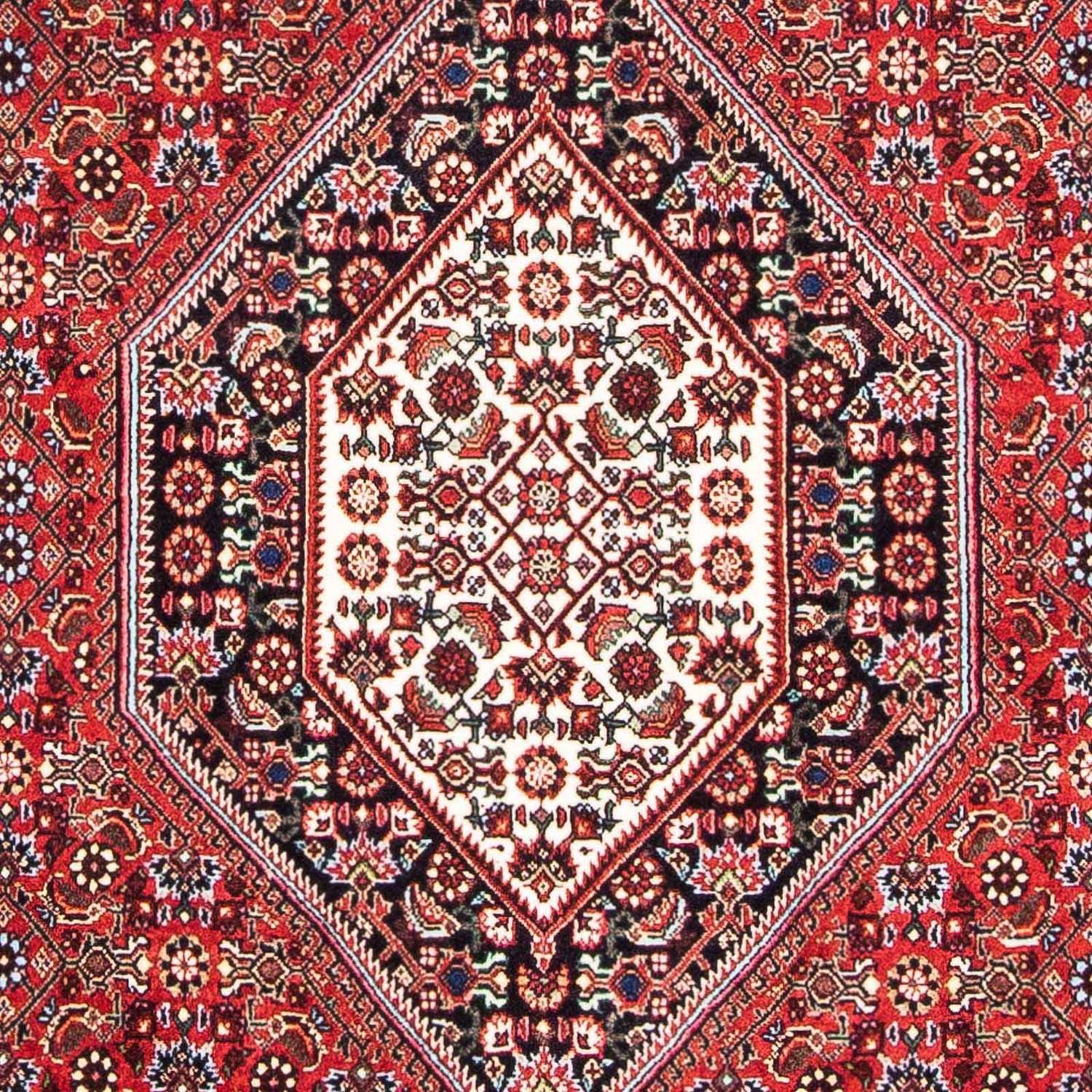 Perser Rug - Bidjar - 174 x 110 cm - red