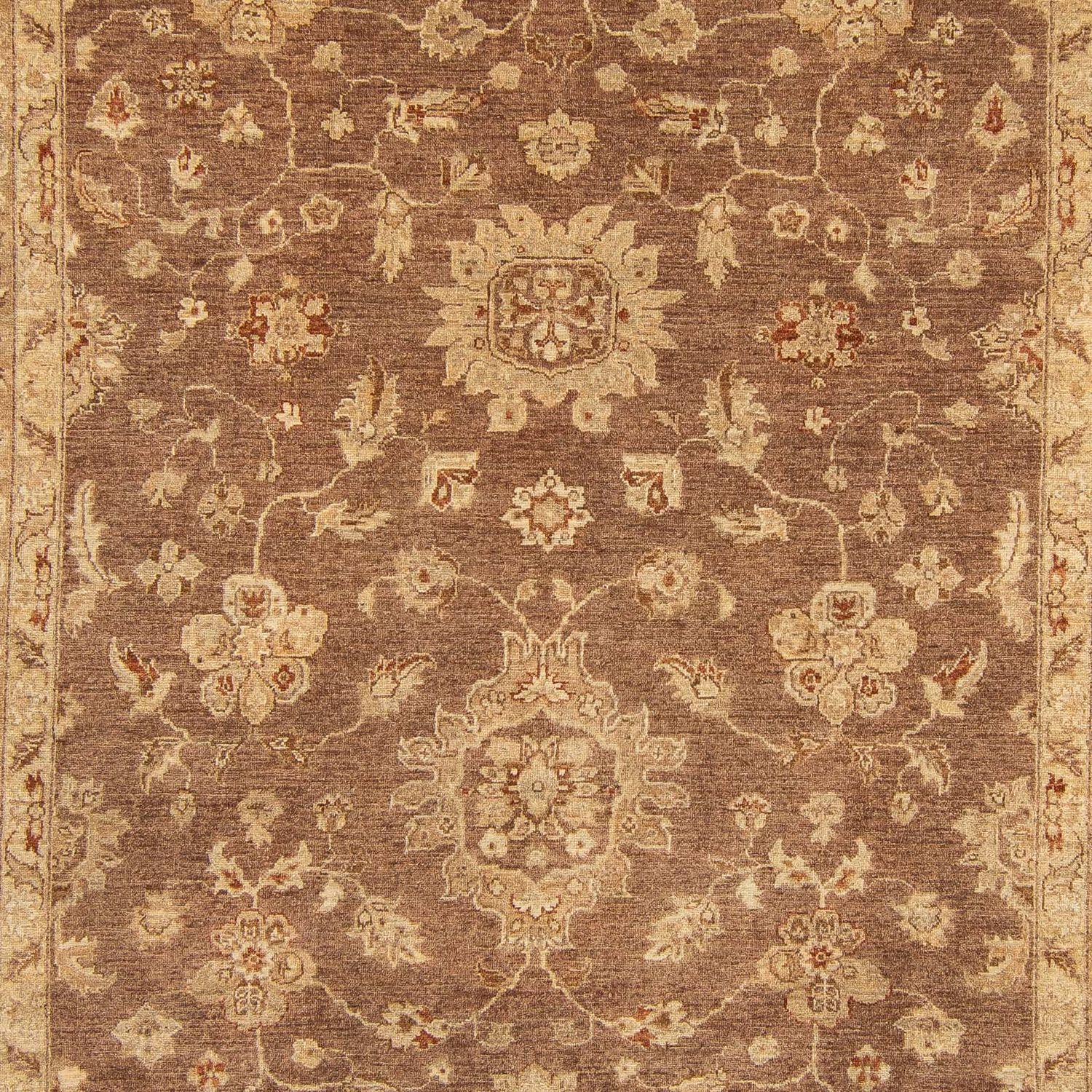 Ziegler Rug - 369 x 270 cm - dark brown