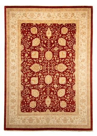 Ziegler Rug - 343 x 248 cm - dark red