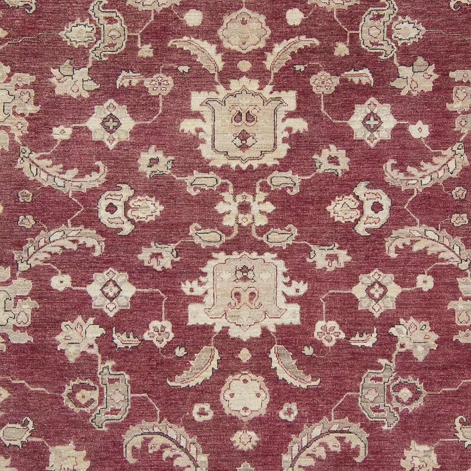 Ziegler Rug - 345 x 262 cm - wine red