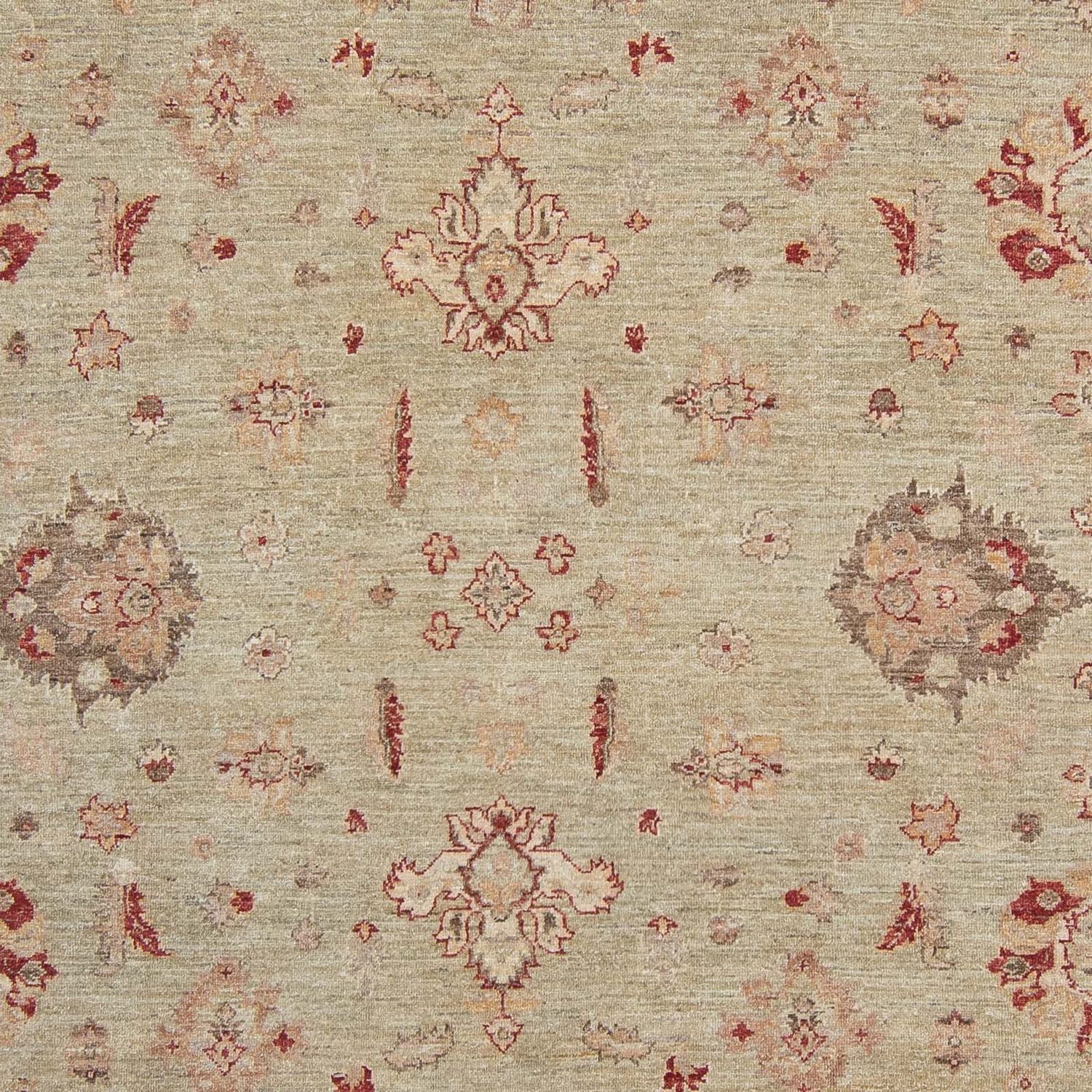 Ziegler Rug - 368 x 279 cm - light beige