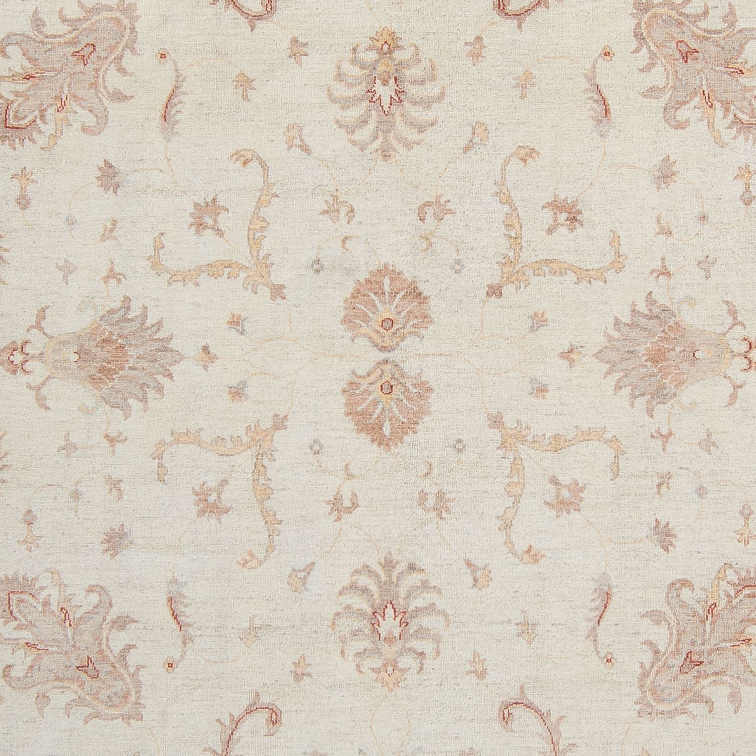 Ziegler Rug - 358 x 248 cm - beige