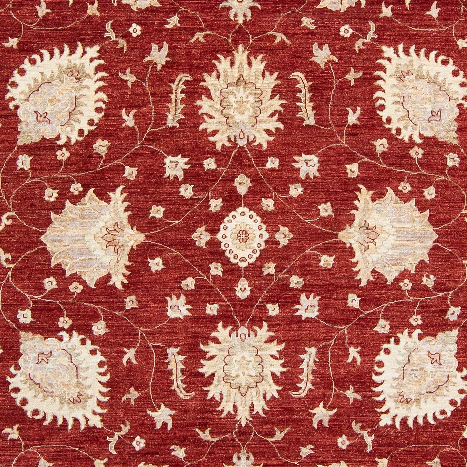 Ziegler Rug - 298 x 240 cm - dark red