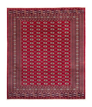 Afghan Rug - Bukhara - 303 x 253 cm - red