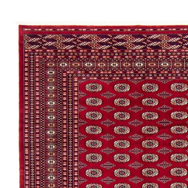 Afghan Rug - Bukhara - 303 x 253 cm - red