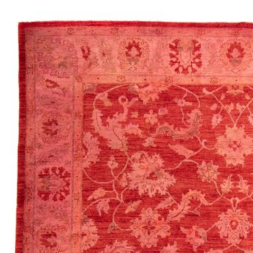 Ziegler Rug - 350 x 222 cm - light red