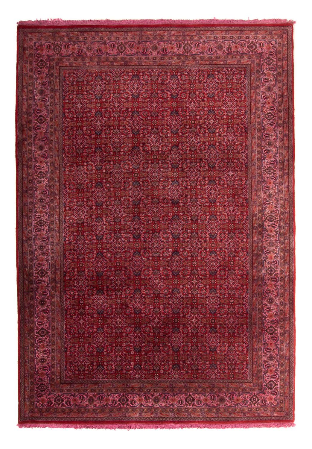 Oriental Rug - Bidjar - Indus - 300 x 200 cm - red