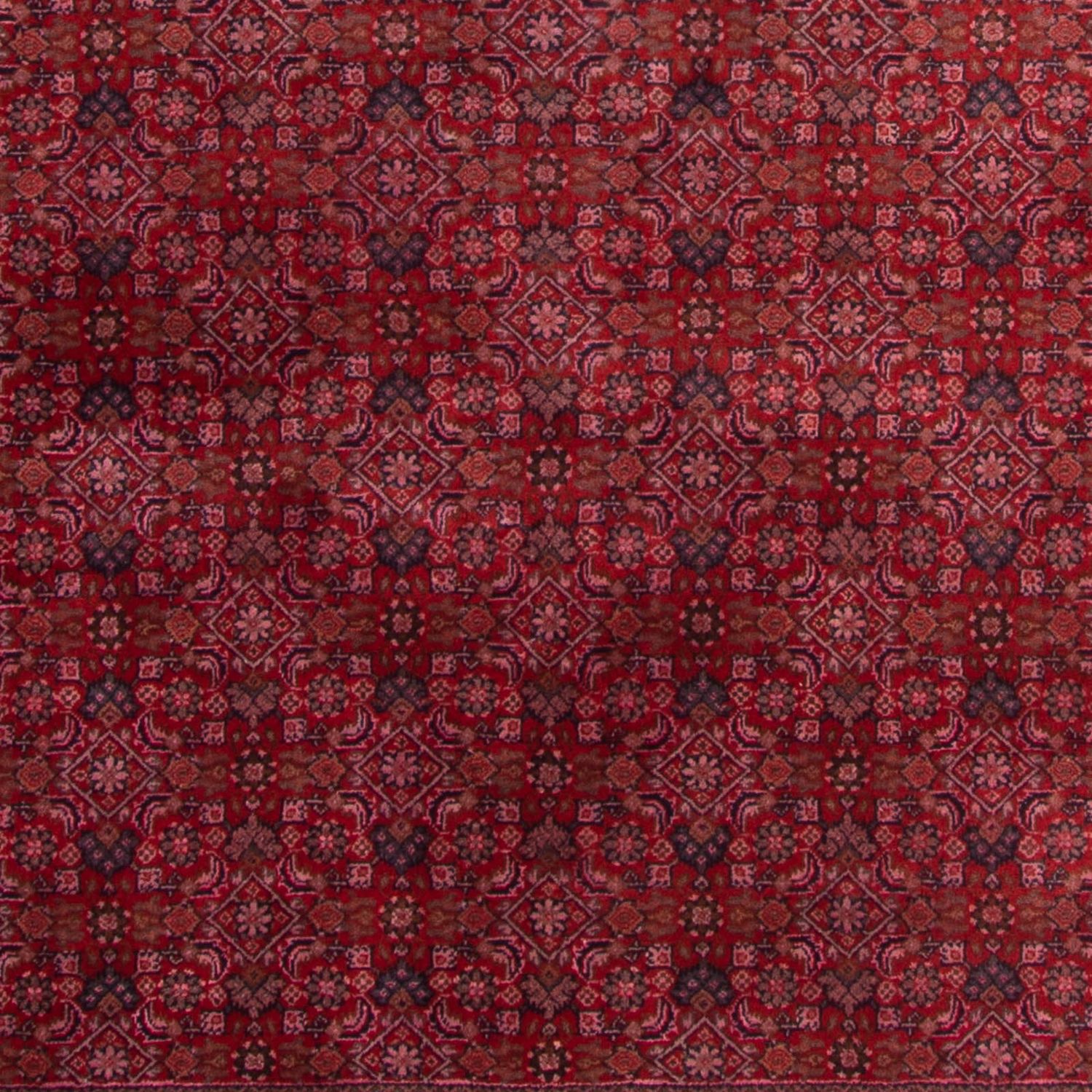 Oriental Rug - Bidjar - Indus - 300 x 200 cm - red