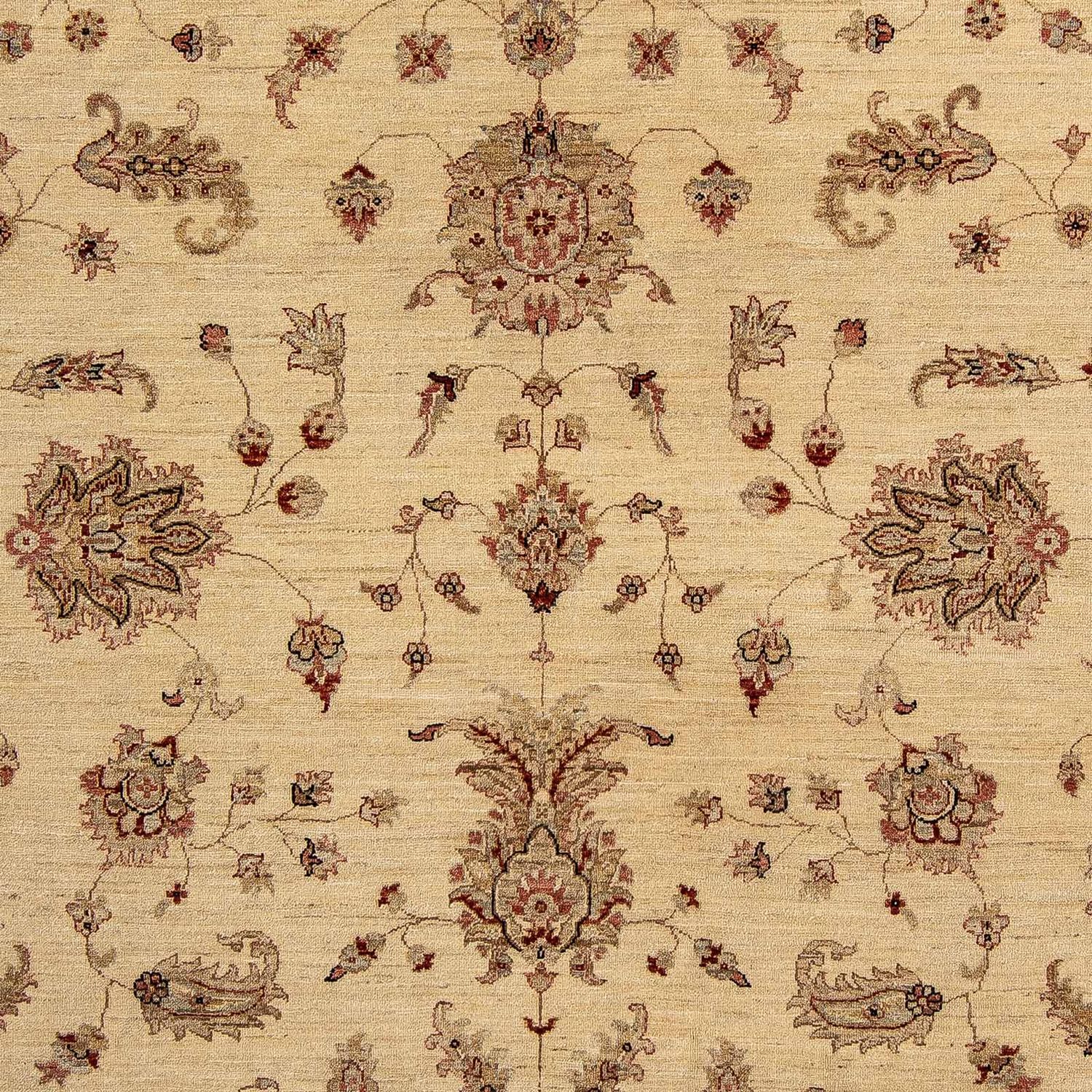 Ziegler Rug - 287 x 246 cm - beige