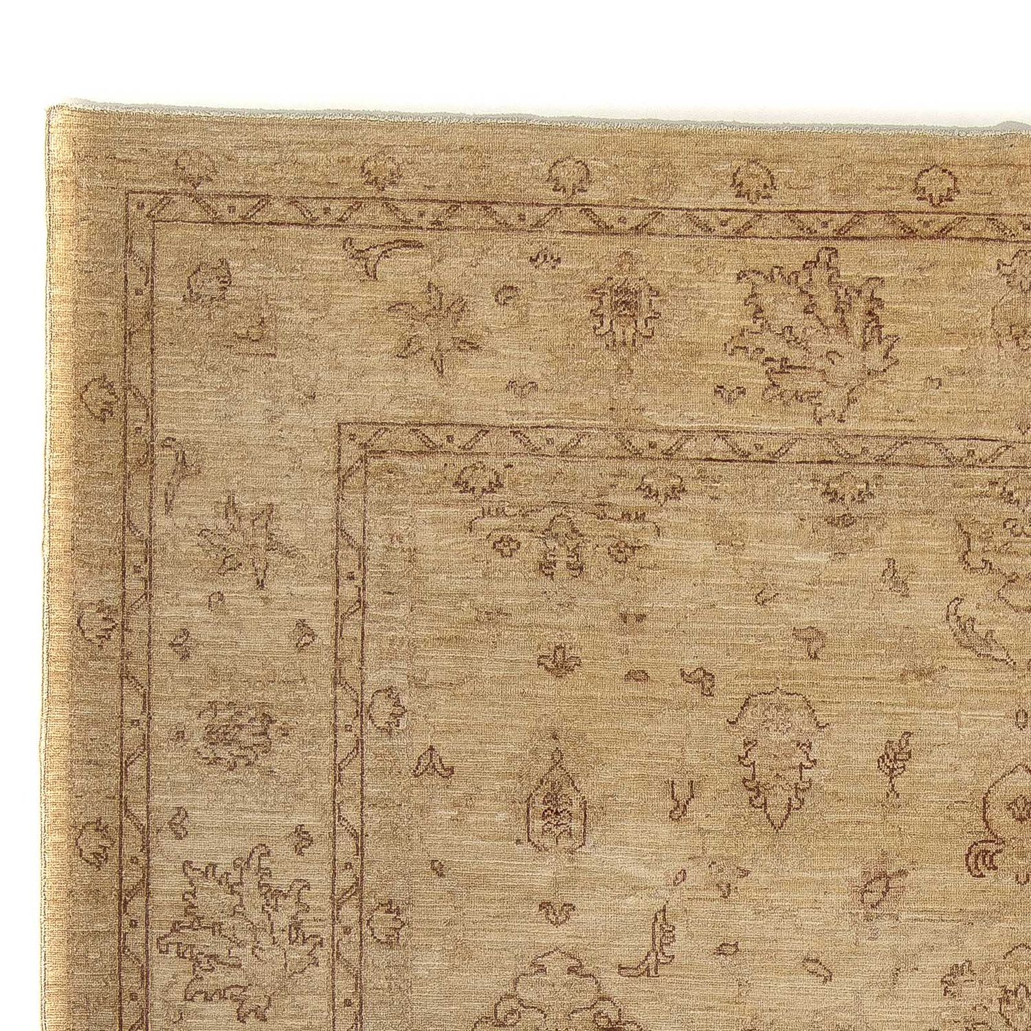 Ziegler Rug - 293 x 249 cm - light brown