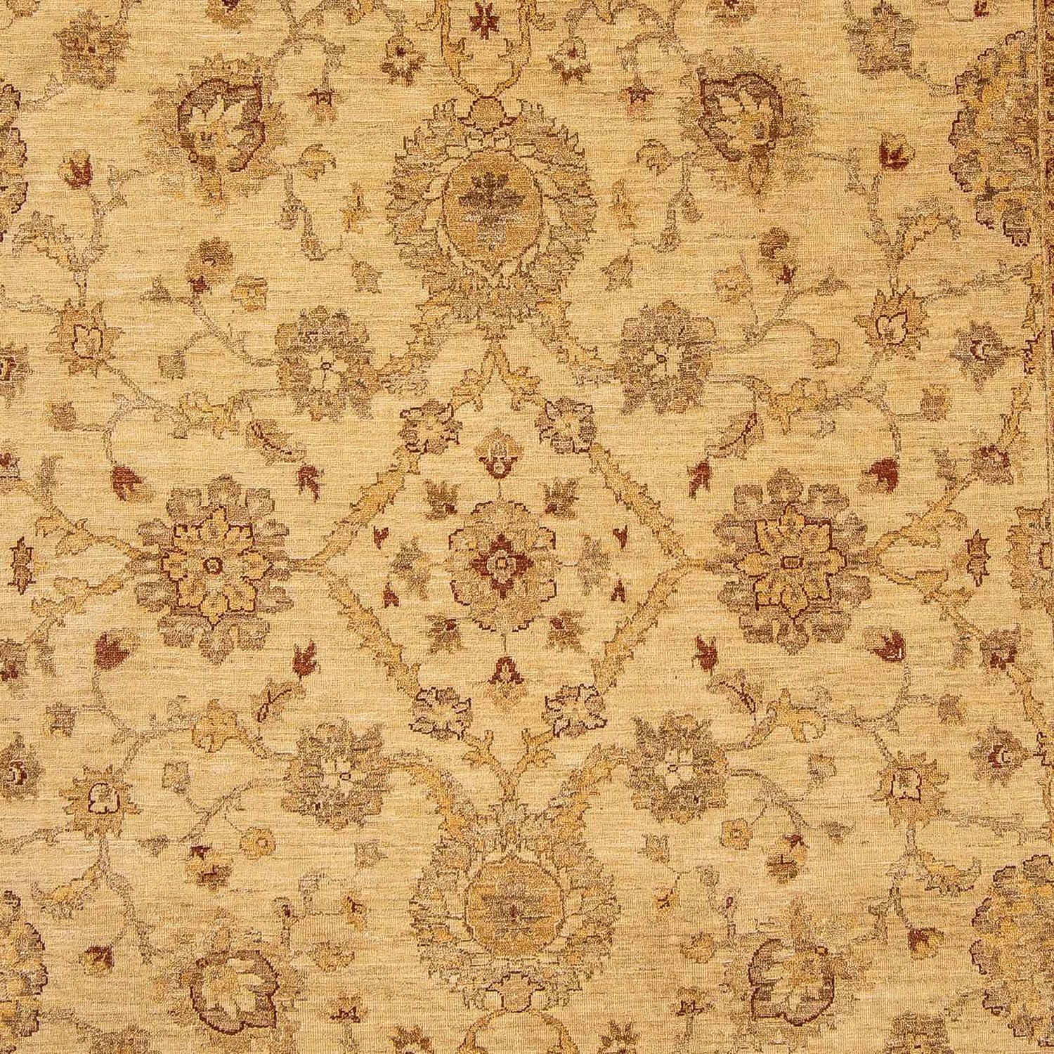 Ziegler Rug - 307 x 241 cm - light brown