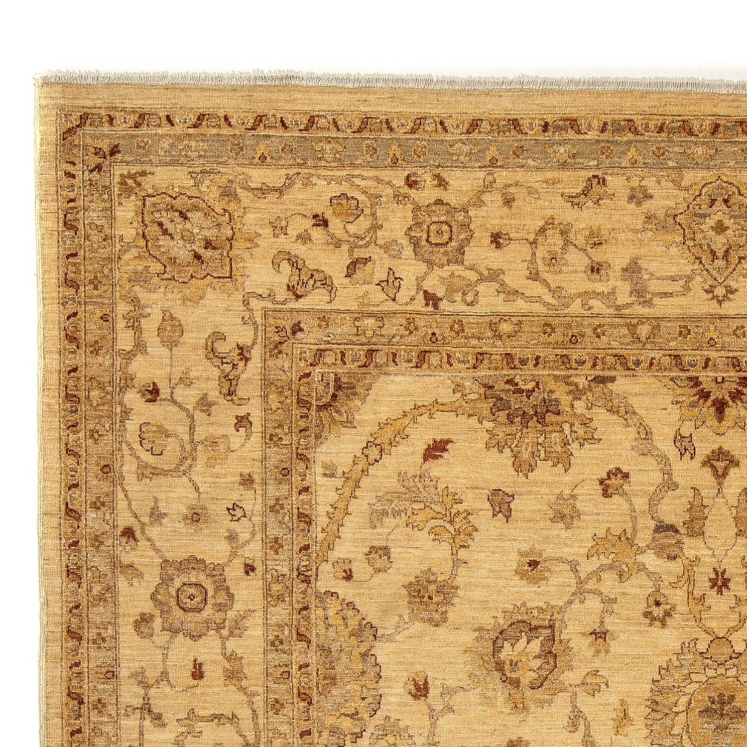 Ziegler Rug - 307 x 241 cm - light brown