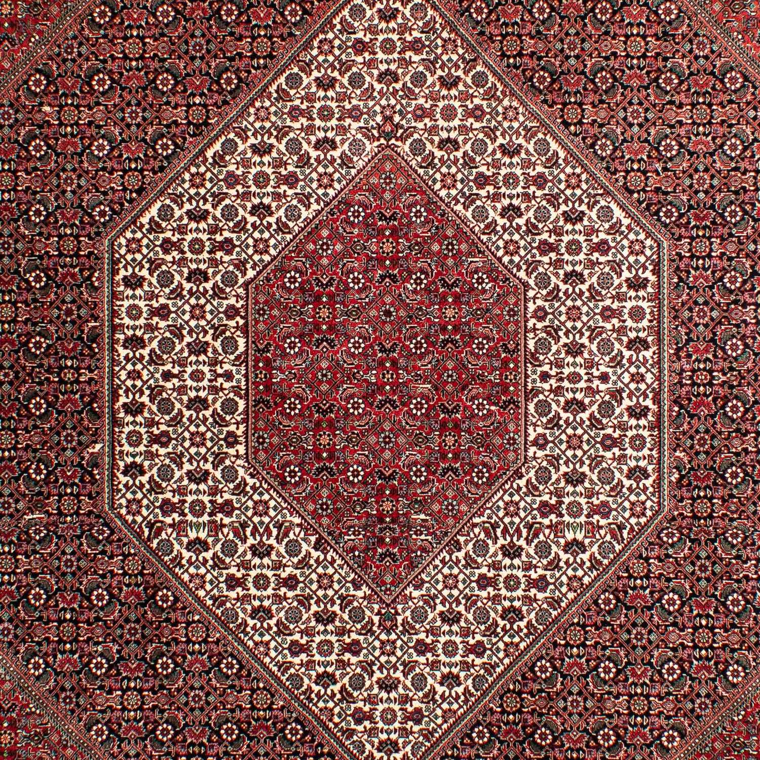 Perser Rug - Bidjar - 293 x 203 cm - light red