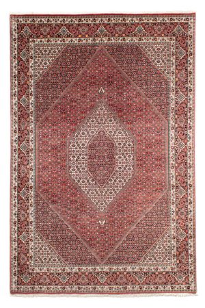 Perser Rug - Bidjar - 303 x 203 cm - light red