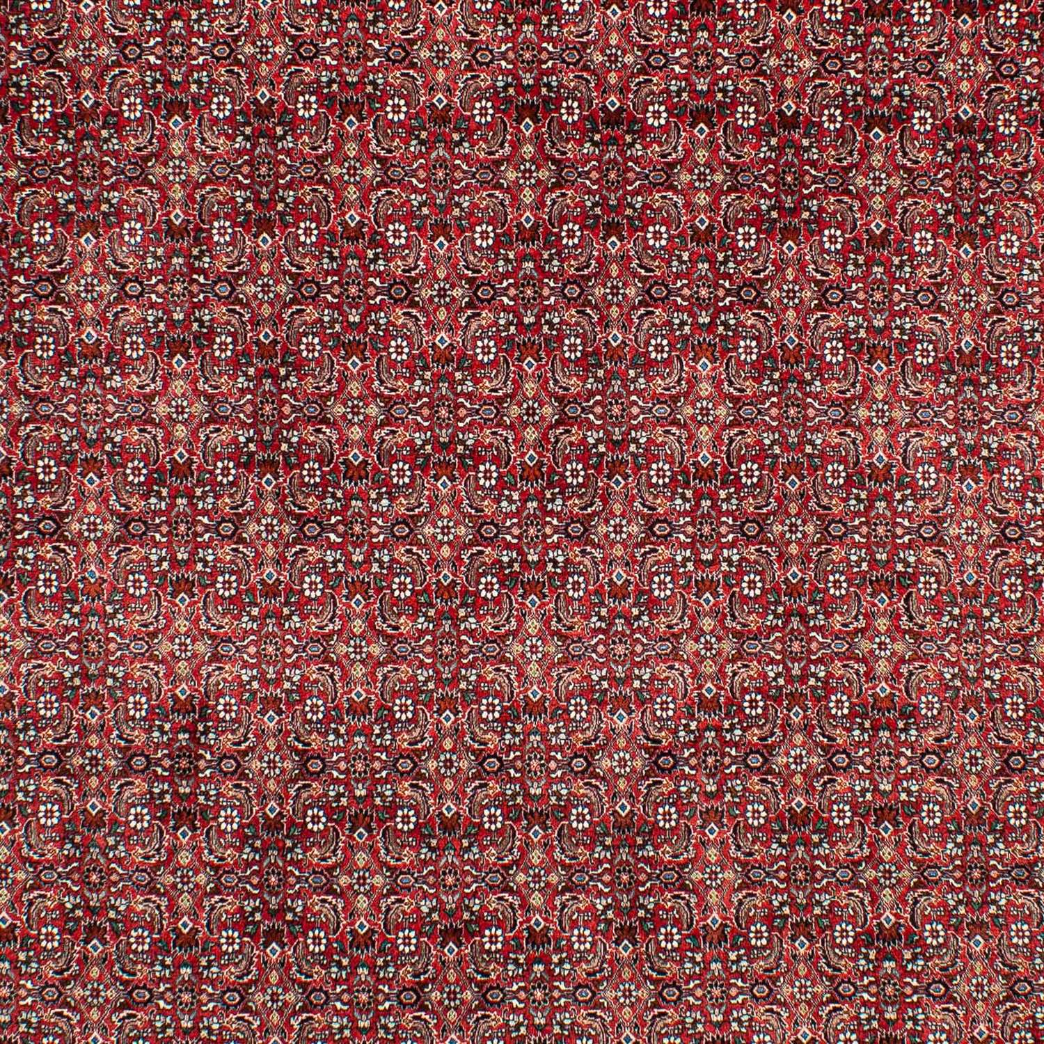 Perser Rug - Bidjar - 309 x 209 cm - dark red