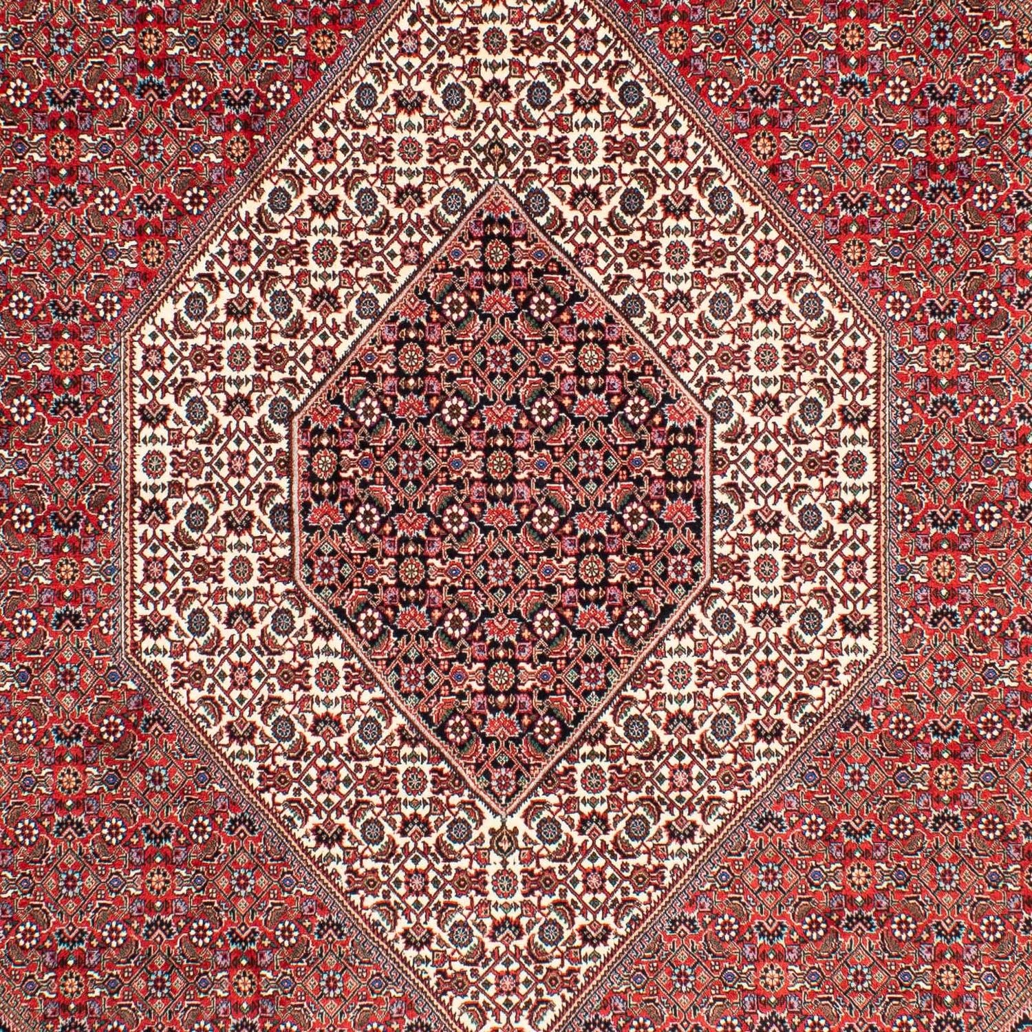 Perser Rug - Bidjar - 300 x 203 cm - light red