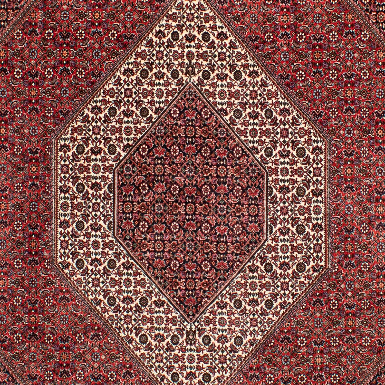 Perser Rug - Bidjar - 305 x 203 cm - dark red