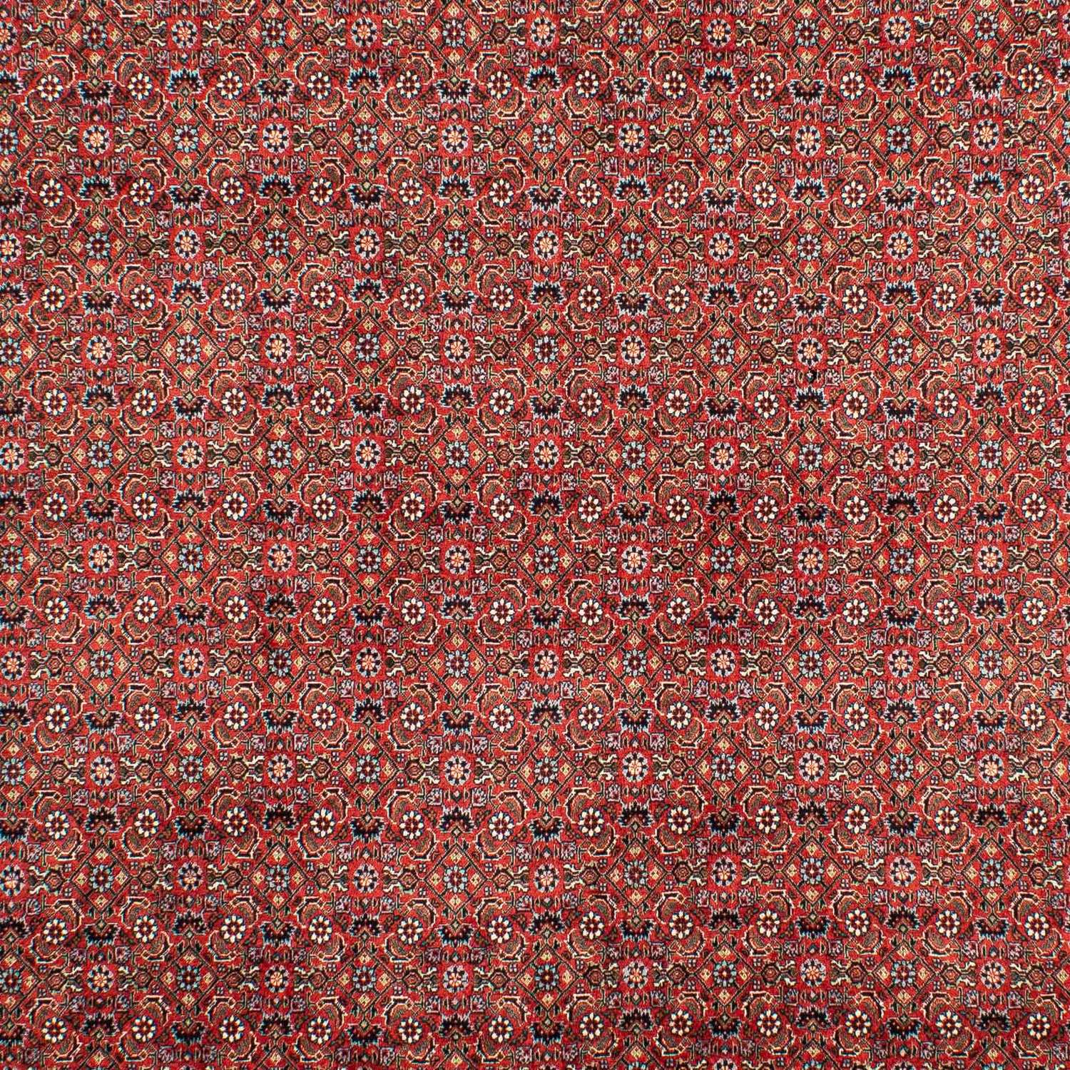 Perser Rug - Bidjar - 307 x 208 cm - dark red